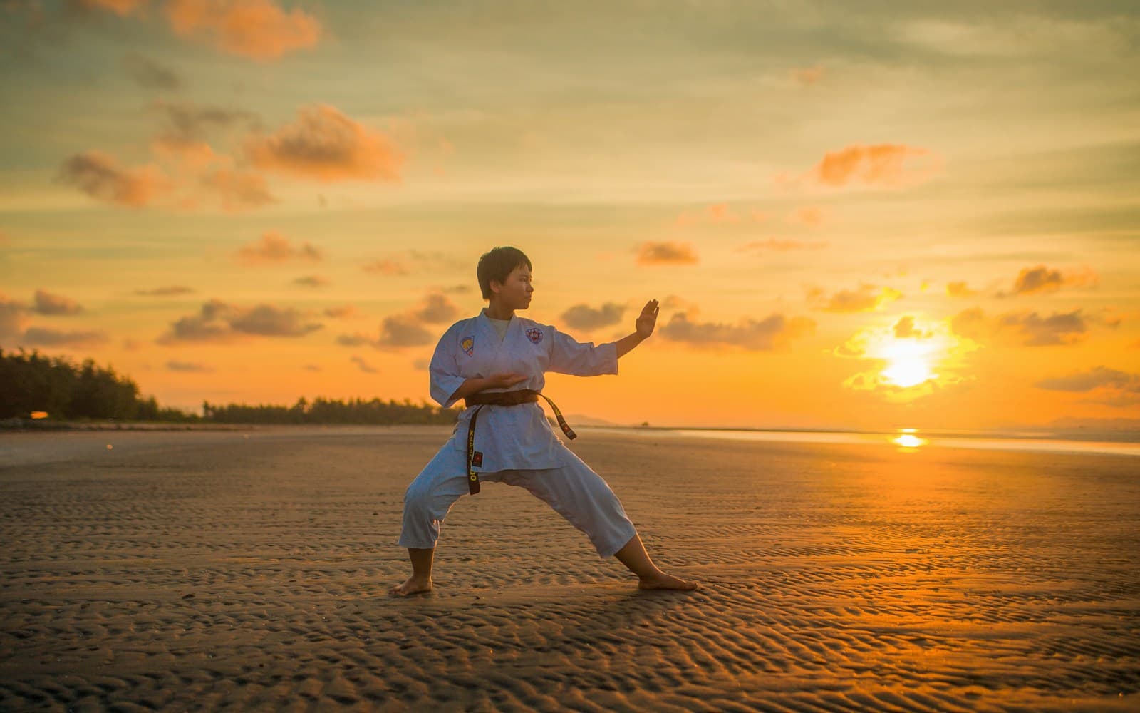 Martial arts students training in a dojo